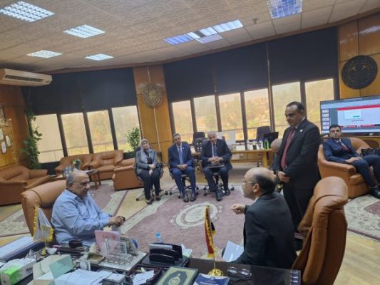 وزير الكهرباء يتابع تنفيذ مشروعات توطين صناعة بطاريات أيون الليثيوم والخلايا الكهروضوئية واستغلال المواد والمعادن النادرة