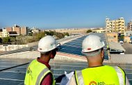 إيكو للطاقة الشمسية تفوز بمناقصة إنشاء محطة شمسية لديوان محافظة البحر الأحمر بالتعاون مع الأمم المتحدة وبرنامج الغردقة الخضراء