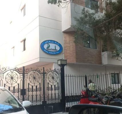 عاجل.. بترونفرتيتي تنجح في وضع البئر Fin-5 علي الإنتاج بمعدل 700 برميل زيت يومي