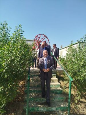 حقول بتروسيلة تحتفل بتكريم المهندس خالد منصور رئيس مجلس الإدارة لبلوغه قمة العطاء الوظيفي
