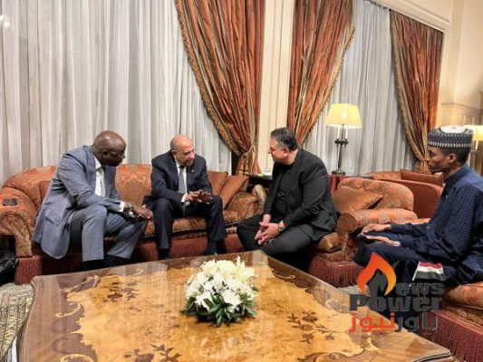 عصمت يبحث مع وزير المياه والطاقة بجمهورية تشاد سبل دعم الشراكة والتعاون فى مختلف مجالات الكهرباء وتعزيز برامج التدريب ونقل الخبرات وبناء القدرات وتنمية المهارات