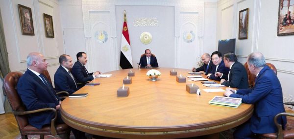 الرئيس السيسي يبحث مع رئيس GCL الصينية توطين صناعة الطاقة المتجددة وجذب استثمارات جديدة لمصر
