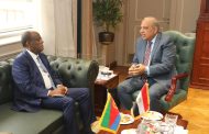 وزير الكهرباء يبحث مع وفد إريتري تعزيز التعاون في الطاقة المتجددة ونقل الخبرات