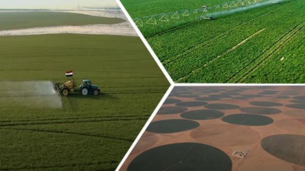أبرز 10 معلومات عن مشروع الدلتا الجديدة