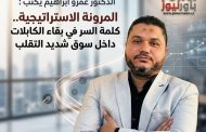 الدكتور عمرو ابراهيم يكتب : المرونة الاستراتيجية.. كلمة السر في بقاء شركات الكابلات داخل سوق شديد التقلب