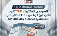 السويدى اليكتريك T&D تفوز باللوطين 3و4 من الخط الكهربائى الاقتصادية 500/S4 جهد 500 KV