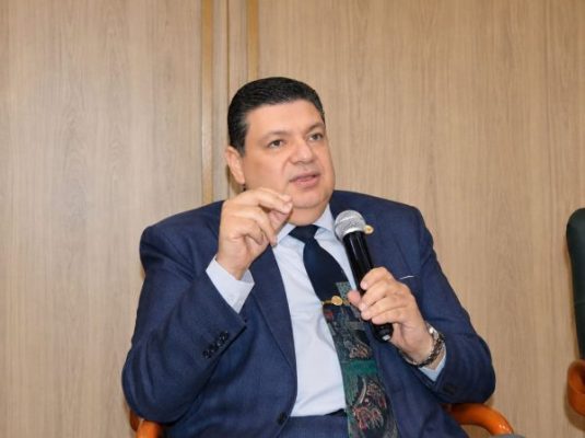 الدكتور أمجد الوكيل يكتب : هل حان الوقت لإنشاء مجلس استشاري لوزير الكهرباء والطاقة المتجددة؟