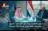 وزير الكهرباء يبحث مع 