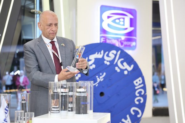 تعيين المهندس كارم محمود رئيساً لقطاع التطوير ومبيعات التوزيع بشركة BICC للكابلات