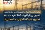 عشرات المحطات وآلاف الكيلومترات من خطوط النقل.. السويدي إليكتريك T&D تقود ملحمة تطوير شبكة الكهرباء المصرية
