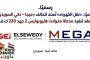 رسميًا.. «نقل الكهرباء» تُسند لتحالف «ميجا – ذكي السويدي» عقد تنفيذ محطة محولات هليوبوليس 2 جهد 220 ك.ف