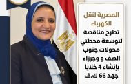 المصرية لنقل الكهرباء تطرح مناقصة لتوسعة محطتي محولات جنوب الصف وجرزا بإنشاء 4 خلايا جهد 66 ك.ف