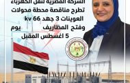 المصرية لنقل الكهرباء تطرح مناقصة لإنشاء محطة محولات العوينات 3 بجهد 66/22 ك.ف