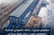 «جوليوس نيريري».. تحالف «السويدي إليكتريك – المقاولون العرب» يكتب فصلًا جديدًا في سجل المشروعات العملاقة بأفريقيا