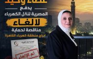 عطاء وحيد وأسعار مرتفعة وراء إلغاء مناقصة لحماية أبراج منطقة كهرباء القاهرة