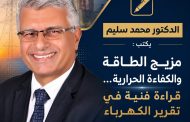 الدكتور محمد سليم يكتب :&nbsp; مزيج الطاقة والكفاءة الحرارية… قراءة فنية في تقرير الكهرباء