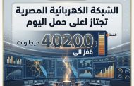 الشبكة الكهربائية المصرية تجتاز اعلى حمل اليوم قفز الى 40200 ميجا وات