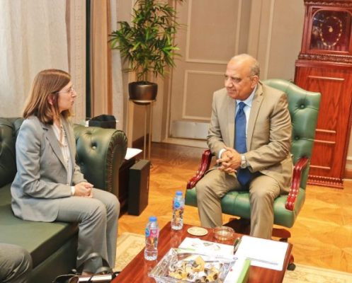 وزير الكهرباء يبحث مع سفيرة قبرص دعم الربط الكهربائي وزيادة استثمارات الطاقة المتجددة