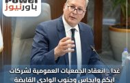 غدا .. انعقاد الجمعيات العمومية لشركات ايكم وايجاس وجنوب الوادي القابضة للبترول برئاسة بدوي