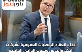 غدا .. انعقاد الجمعيات العمومية لشركات ايكم وايجاس وجنوب الوادي القابضة للبترول برئاسة بدوي