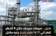 عاجل .. مبيعات سيدبك خلال 9 أشهر تقفز الي 14.71 مليار جنيه مقابل 10.91 مليار جنيه في الفترة المقارنة من العام السابق، بزيادة قدرها 34.83%.