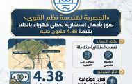 «المصرية لهندسة نظم القوى» تفوز بأعمال استشارية لخطي كهرباء بالدلتا بقيمة 4.38 مليون جنيه