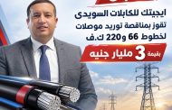 عاجل .. ايجيتك للكابلات السويدى تفوز بمناقصة توريد موصلات لخطوط 66 و220 ك.ف بقيمة 3 مليار جنيه